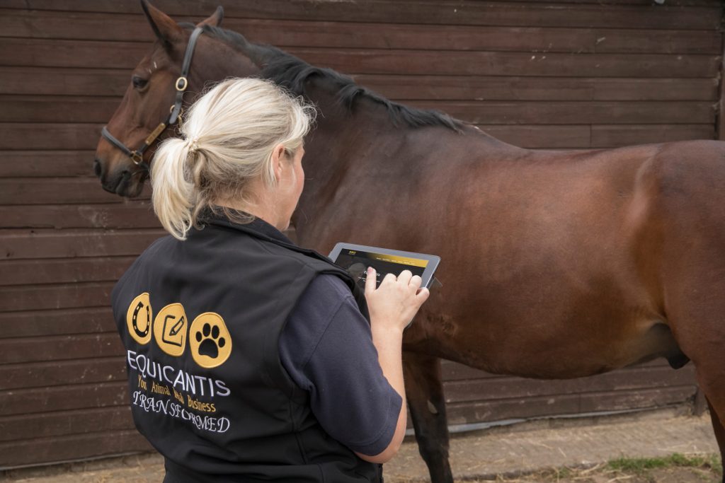 Animal Physical Therapy App Equicantis